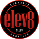 Elev8 Seeds