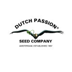 Dutch Passion