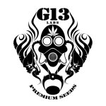 G13 Labs