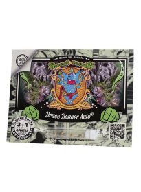 Sweet Seeds Bruce Banner AUTO - 3 automated seeds