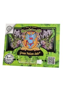 Sweet Seeds Green Poison AUTO - 3 automated seeds