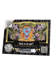 Sweet Seeds Jack 47 XL AUTO - 3 automated seeds