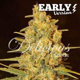 Delicious Seeds Critical Sensi Star Early Version - 3 feminized seeds