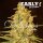 Delicious Seeds Critical Sensi Star Early Version - 3 feminisierte Samen