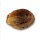 Delicious Seeds Marmalate Early Version - 3 feminisierte Samen