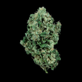 DNA Genetics Kandy Kush - 5 feminisierte Samen