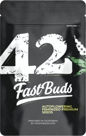 Fast Buds Apple Strudel AUTO - 3 autoflowering Samen