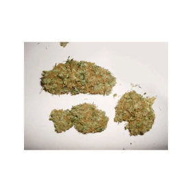 Dutch Passion Skunk #1 - 3 feminisierte Samen