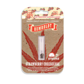 Humboldt Seed Company Strawberry Cheesecake AUTO - 5 automated seeds