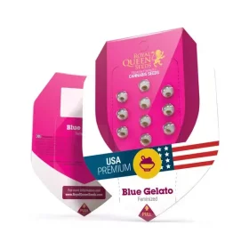 Royal Queen Seeds Blue Gelato - 3 feminisierte Samen