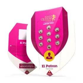 Royal Queen Seeds El Patron - 3 feminisierte Samen