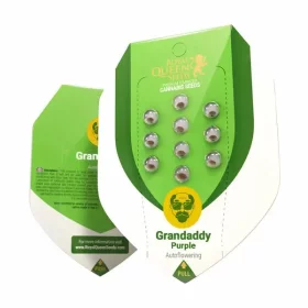 Royal Queen Seeds Granddaddy Purple AUTO - 3 automated seeds