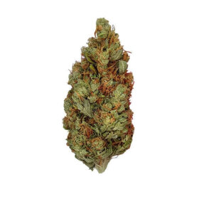 Royal Queen Seeds Green Gelato - 3 feminisierte Samen