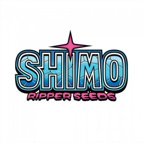 Ripper Seeds Shimo - 3 feminized seeds