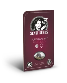 Sensi Seeds Afghani #1 - 3 feminisierte Samen