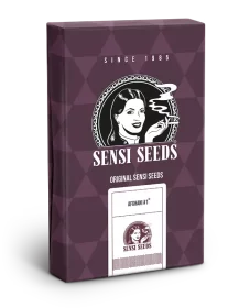 Sensi Seeds Afghani #1 - 3 feminisierte Samen