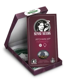 Sensi Seeds Afghani #1 - 3 feminisierte Samen