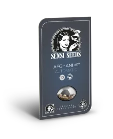 Sensi Seeds Afghani #1 Automatic - 3 autoflowering Samen