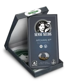 Sensi Seeds Afghani #1 Automatic - 3 autoflowering Samen