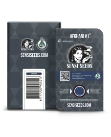 Sensi Seeds Afghani #1 Automatic - 3 autoflowering Samen