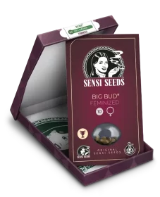 Sensi Seeds Big Bud - 3 feminisierte Samen