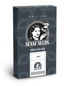 Sensi Seeds Big Bud Automatic - 3 autoflowering Samen