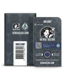 Sensi Seeds Big Bud Automatic - 3 autoflowering Samen