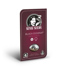 Sensi Seeds Black Domina - 3 feminisierte Samen