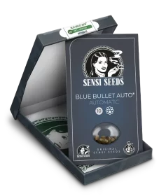 Sensi Seeds Blue Bullet Automatic - 3 autoflowering Samen