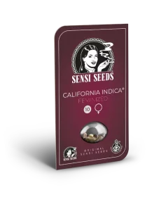 Sensi Seeds California Indica - 3 feminized seeds