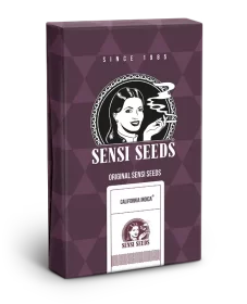 Sensi Seeds California Indica - 3 feminisierte Samen