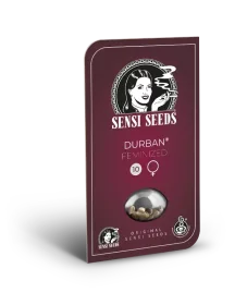 Sensi Seeds Durban - 3 feminisierte Samen