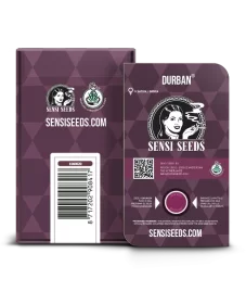 Sensi Seeds Durban - 3 feminisierte Samen