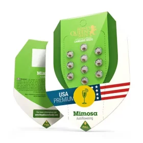 Royal Queen Seeds Mimosa AUTO - 3 autoflowering Samen