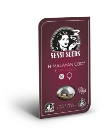 Sensi Seeds Himalayan CBD - 3 feminized seeds