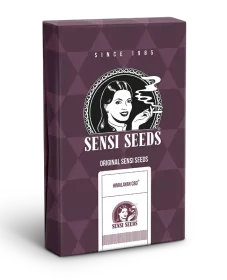 Sensi Seeds Himalayan CBD - 3 feminisierte Samen