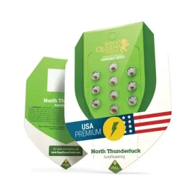 Royal Queen Seeds North Thunderfuck AUTO - 3 automated seeds