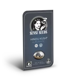 Sensi Seeds Hindu Kush Automatic - 3 autoflowering Samen