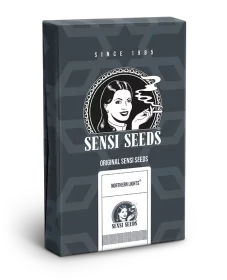 Sensi Seeds Northern Lights Automatic - 3 autoflowering Samen