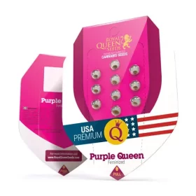 Royal Queen Seeds Purple Queen - 3 feminisierte Samen