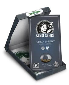 Sensi Seeds Shiva Skunk Automatic - 3 autoflowering Samen