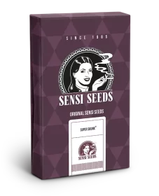 Sensi Seeds Super Skunk - 3 feminisierte Samen