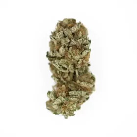 Royal Queen Seeds Royal Cookies - 3 feminisierte Samen