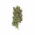 Royal Queen Seeds Royal Gorilla - 3 feminisierte Samen