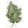 Royal Queen Seeds Royal Gorilla AUTO - 3 automated seeds