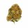 Royal Queen Seeds Royal Moby - 3 feminisierte Samen