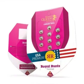 Royal Queen Seeds Royal Runtz - 3 feminisierte Samen