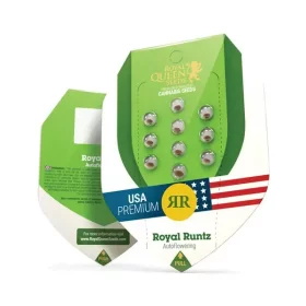 Royal Queen Seeds Royal Runtz AUTO - 3 automated seeds