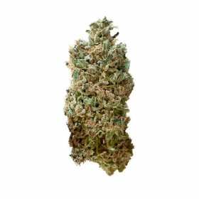 Royal Queen Seeds Royal Skywalker - 3 feminisierte Samen