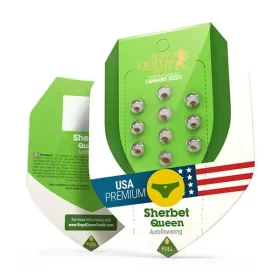 Royal Queen Seeds Sherbet Queen AUTO - 3 automated seeds